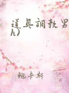 道具调教男男(h)