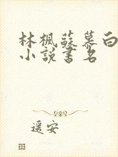 林枫苏慕白穿越小说书名