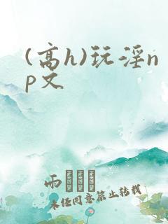 (高h)玩淫np文