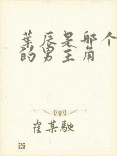 叶辰是哪个小说的男主角