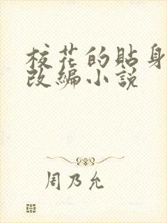 校花的贴身高手改编小说