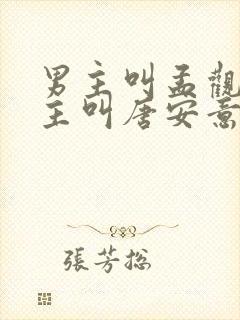 男主叫孟观鹤女主叫唐安意的小说