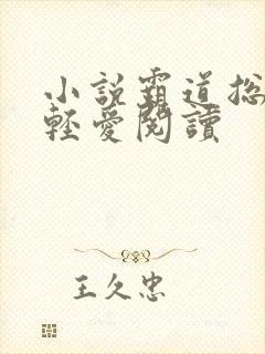 小说霸道总裁轻轻爱阅读