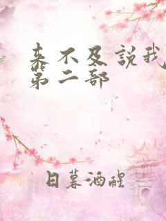 来不及说我爱你第二部