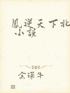 凤逆天下北月篇 小说