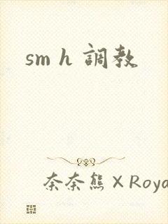 sm h 调教