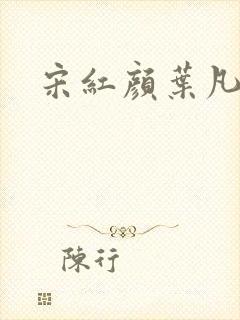 宋红颜叶凡