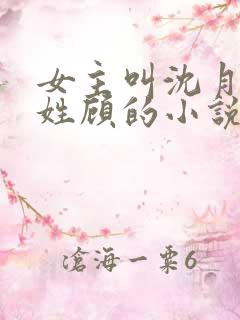 女主叫沈月男主姓顾的小说