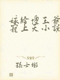 嫁给傻王爷后被宠上天小说