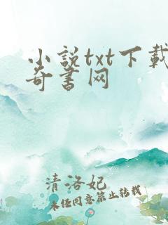 小说txt下载奇书网