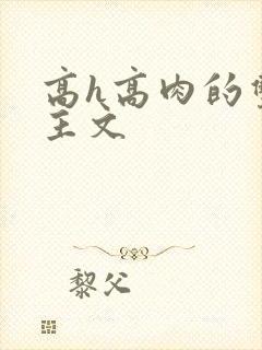 高h高肉的双男主文