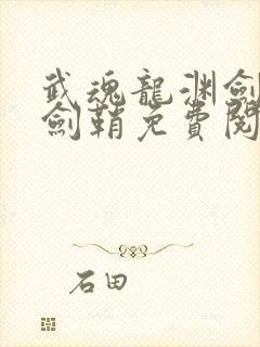 武魂龙渊剑我成剑鞘免费阅读最新章节