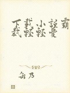 下载小说霸道总裁轻轻爱