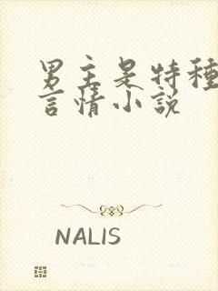 男主是特种兵的言情小说