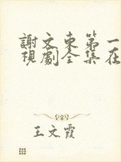 谢文东第一季电视剧全集在线观看高清