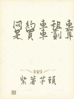 网约车租车好还是买车划算