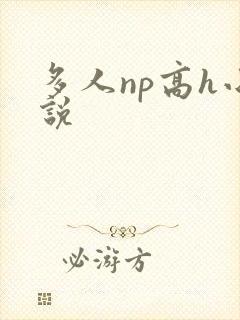 多人np高h小说