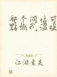 哪个网站可以看点燃我温暖你全集