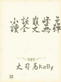 小说巅峰免费阅读全文无弹窗