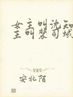 女主叫沈知意男主叫裴司域的小说