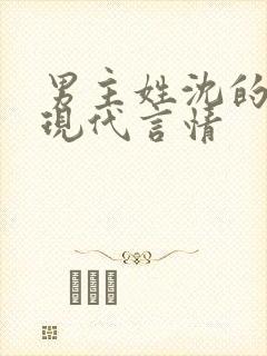 男主姓沈的小说现代言情