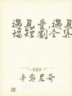 遇见爱,遇见幸福短剧全集观看