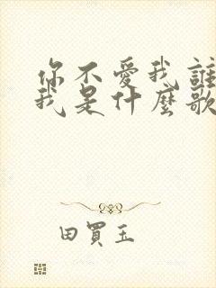 你不爱我谁会爱我是什么歌