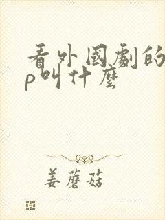 看外国剧的app叫什么