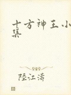 十方神王小说全集