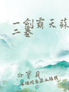 一剑霸天苏信第二卷