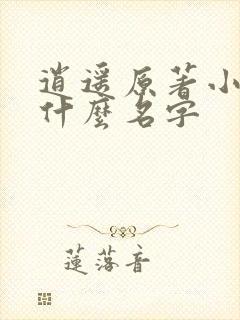 逍遥原著小说叫什么名字