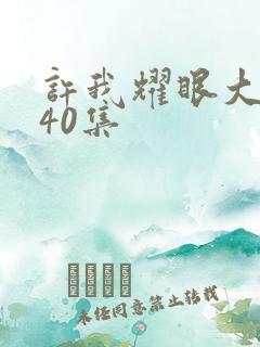 许我耀眼大结局40集