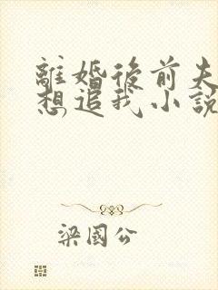 离婚后前夫总是想追我小说全集