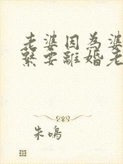 老婆因为婆媳关系要离婚老公怎么办