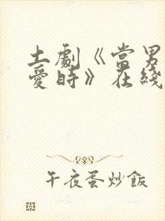 土剧《当男人恋爱时》在线观看