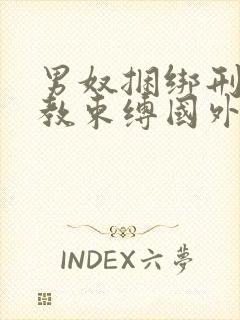 男奴捆绑刑具调教束缚国外