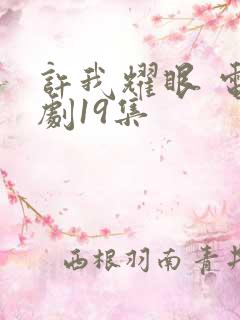 许我耀眼 电视剧19集