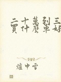 二十万到三十万买什么车好