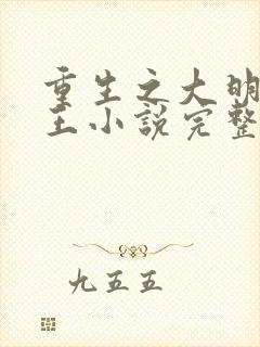 重生之大明摄政王小说完整版