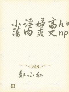 小淫妇高h喷水荡肉爽文np文