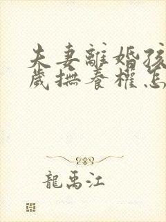 夫妻离婚孩子1岁抚养权怎么判定