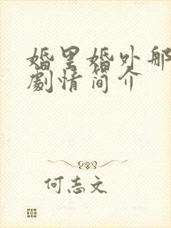 婚里婚外那些事剧情简介