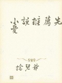 小说推荐先婚后爱