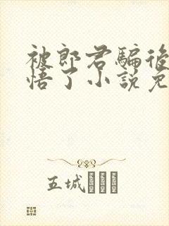 被郎君骗后她醒悟了小说免费阅读