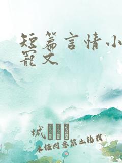 短篇言情小说甜宠文
