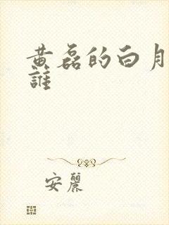 黄磊的白月光是谁