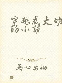 穿越成大明朱棣的小说