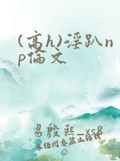 (高h)淫趴np伦文