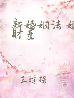 新婚姻法 婚前财产