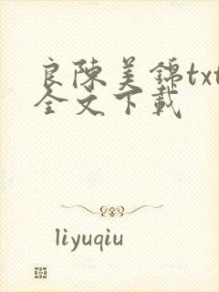良陈美锦txt全文下载
